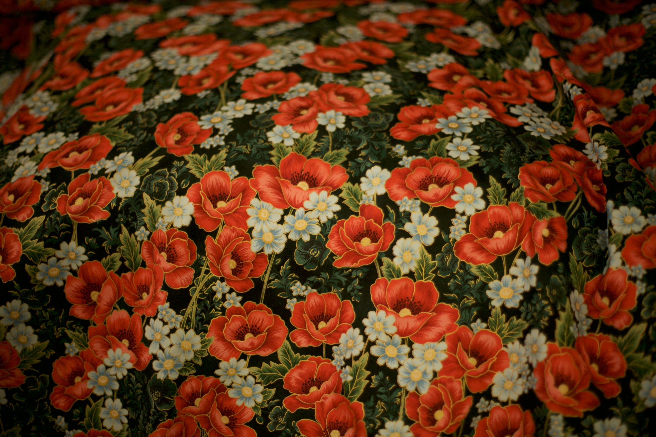poppy hill forest