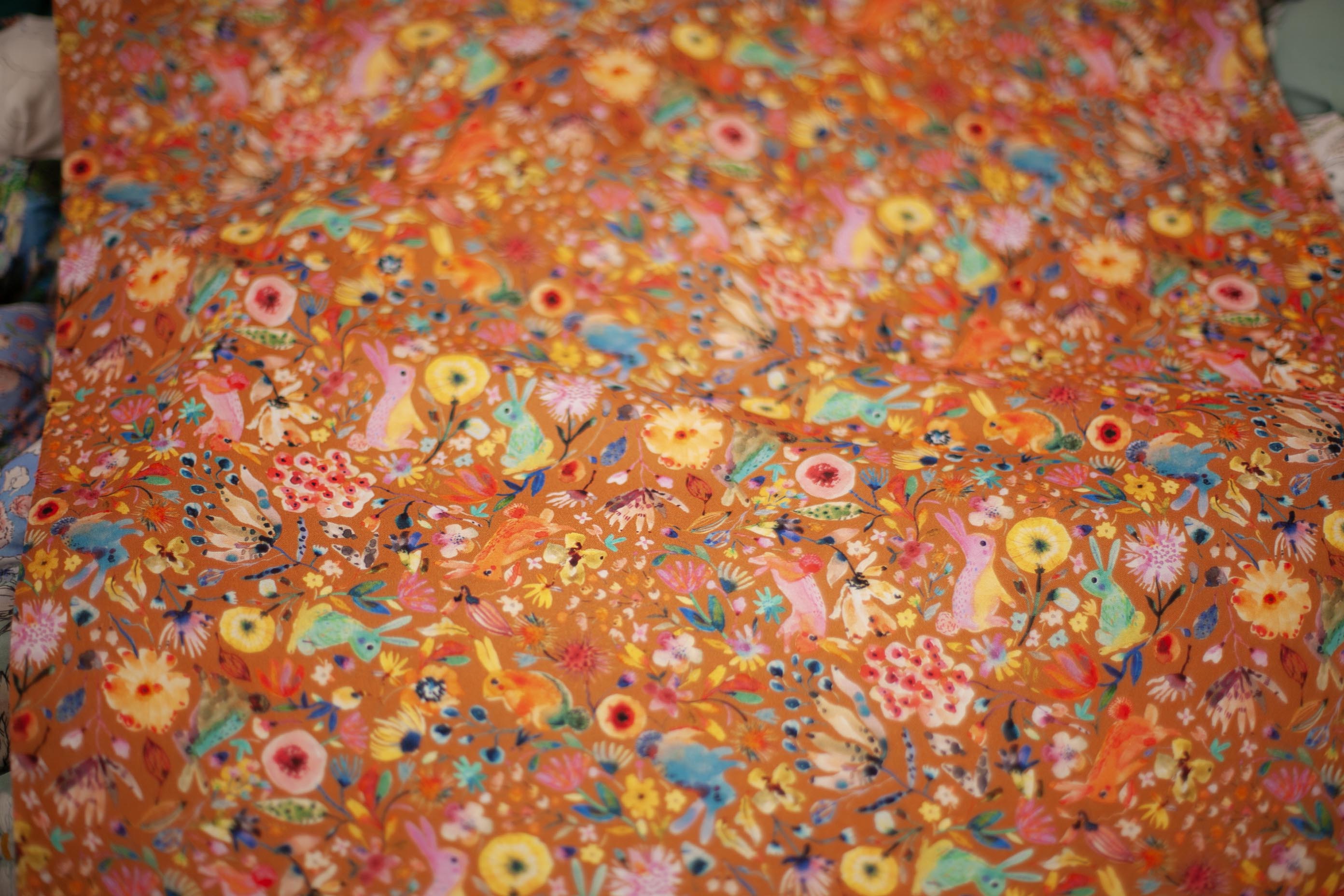 acorn Subhashini Narayanan Fabric