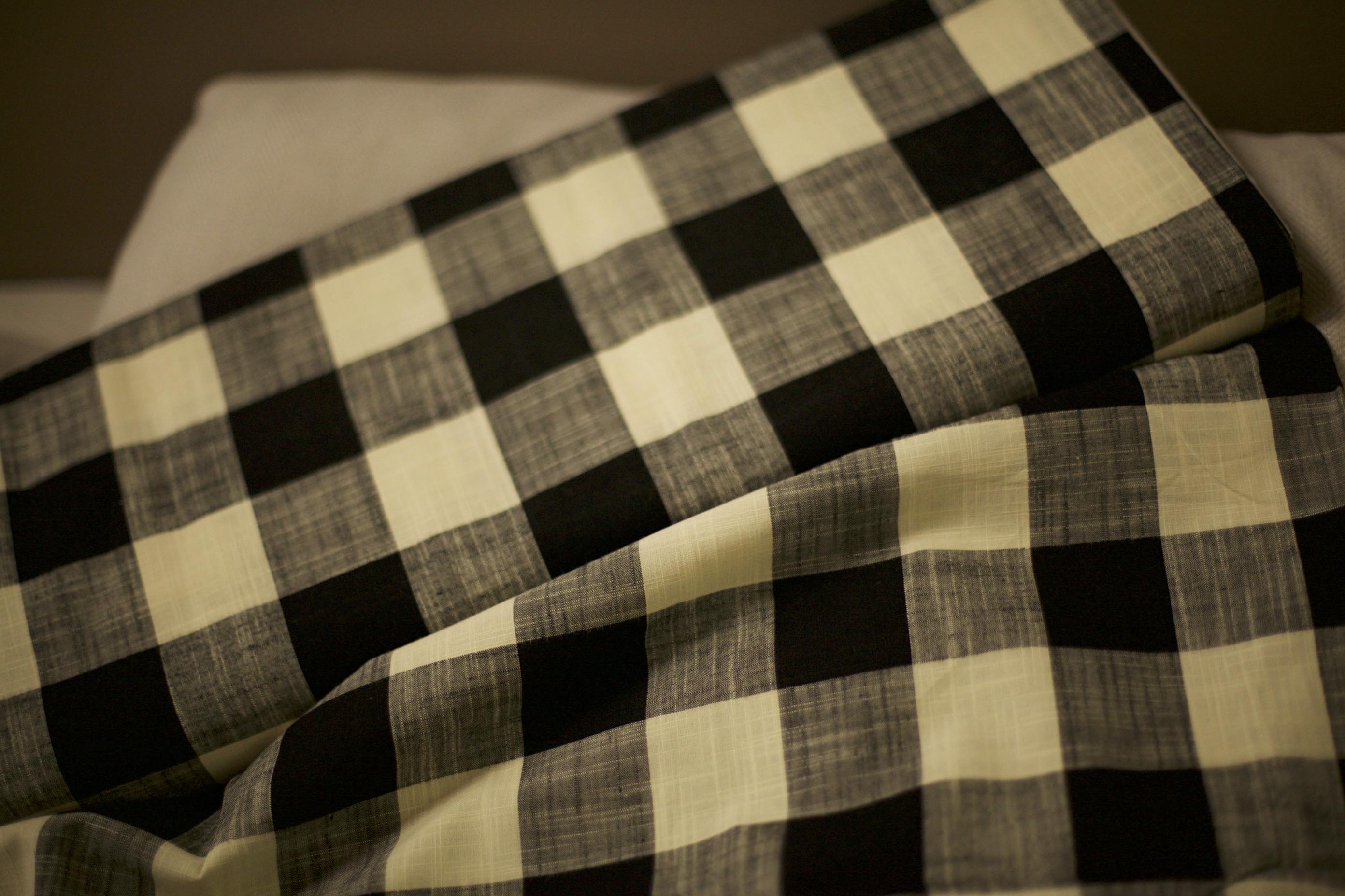 black Vichy fabric