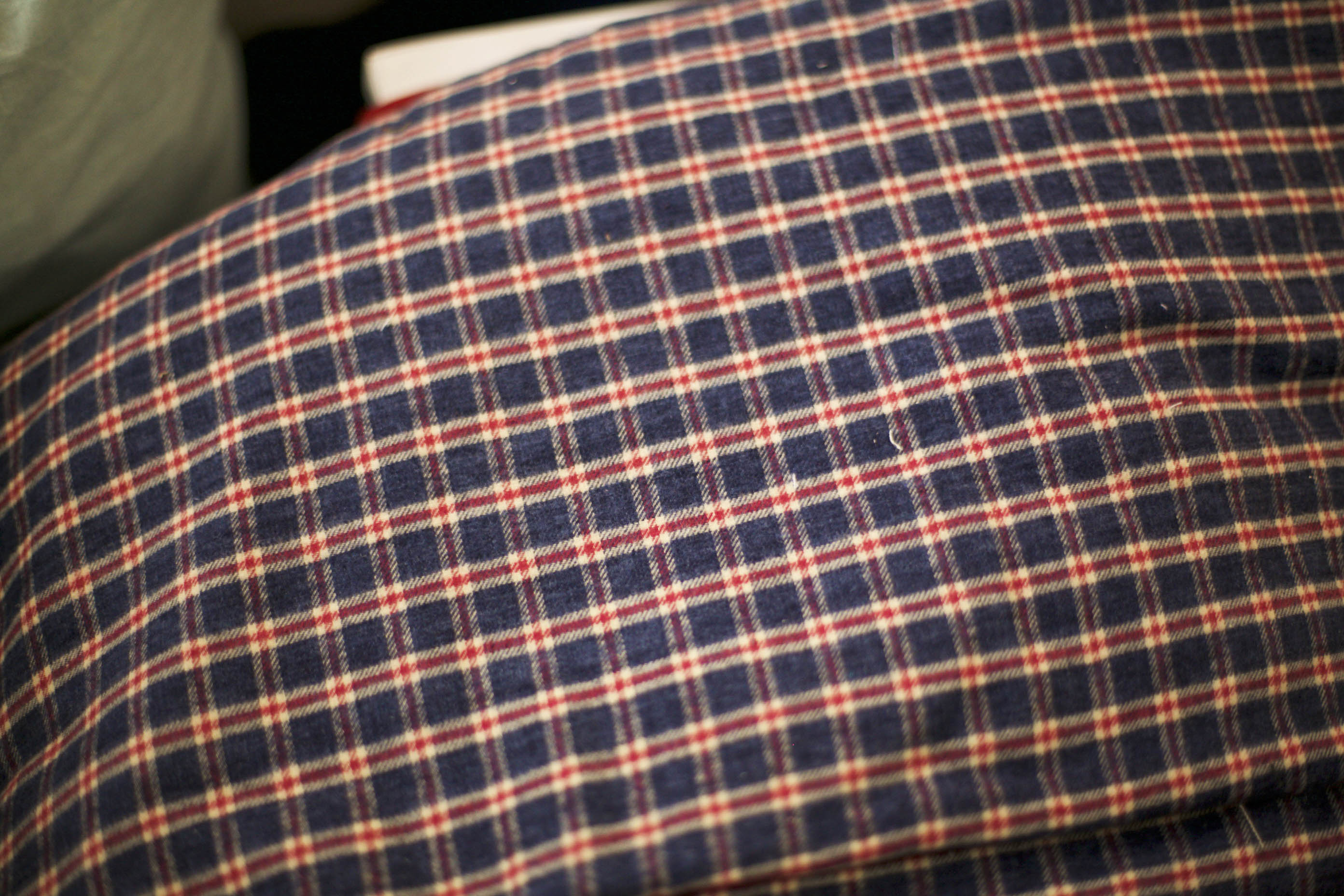 Red and Blue Plaid Fabric