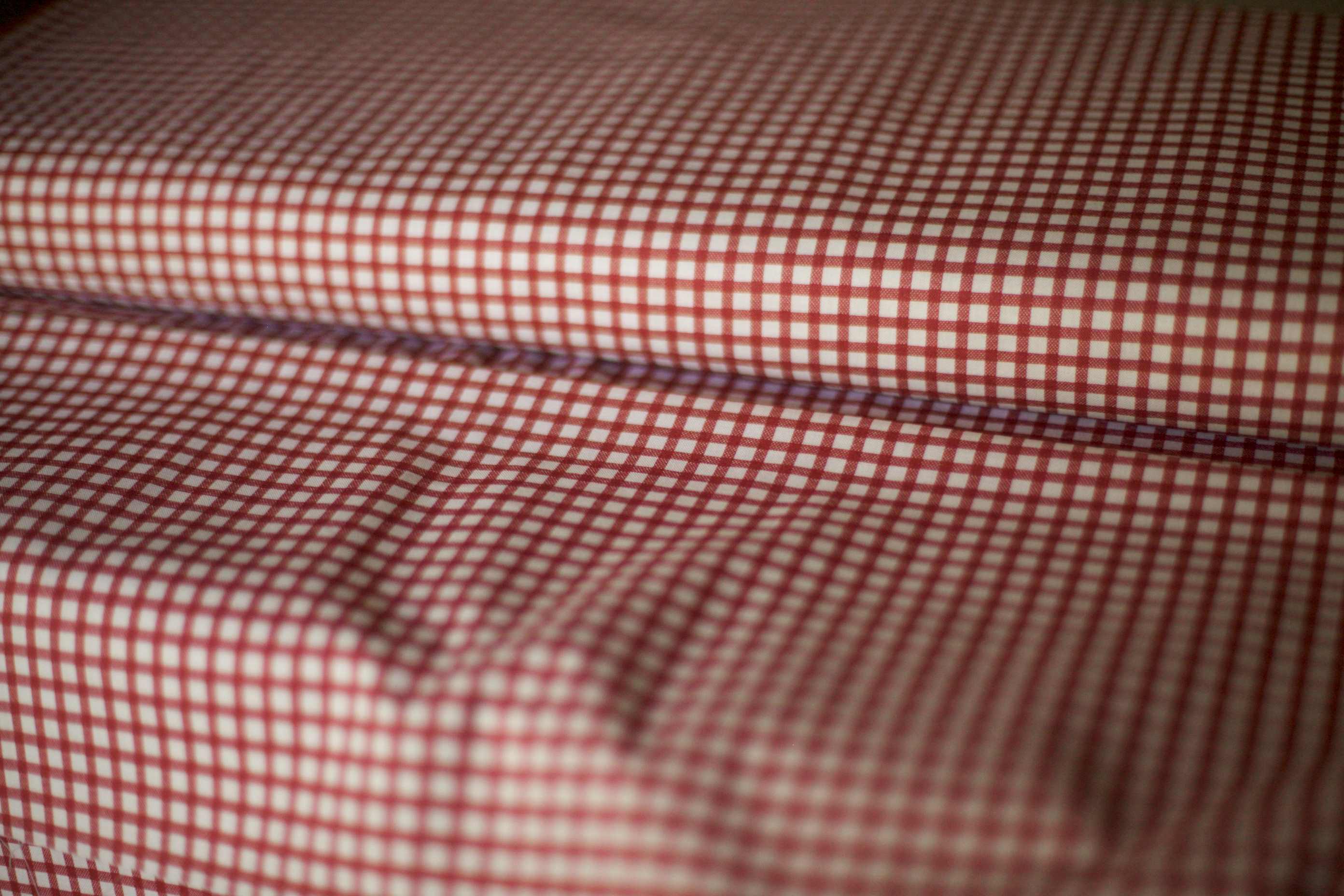 small check red fabric vintage