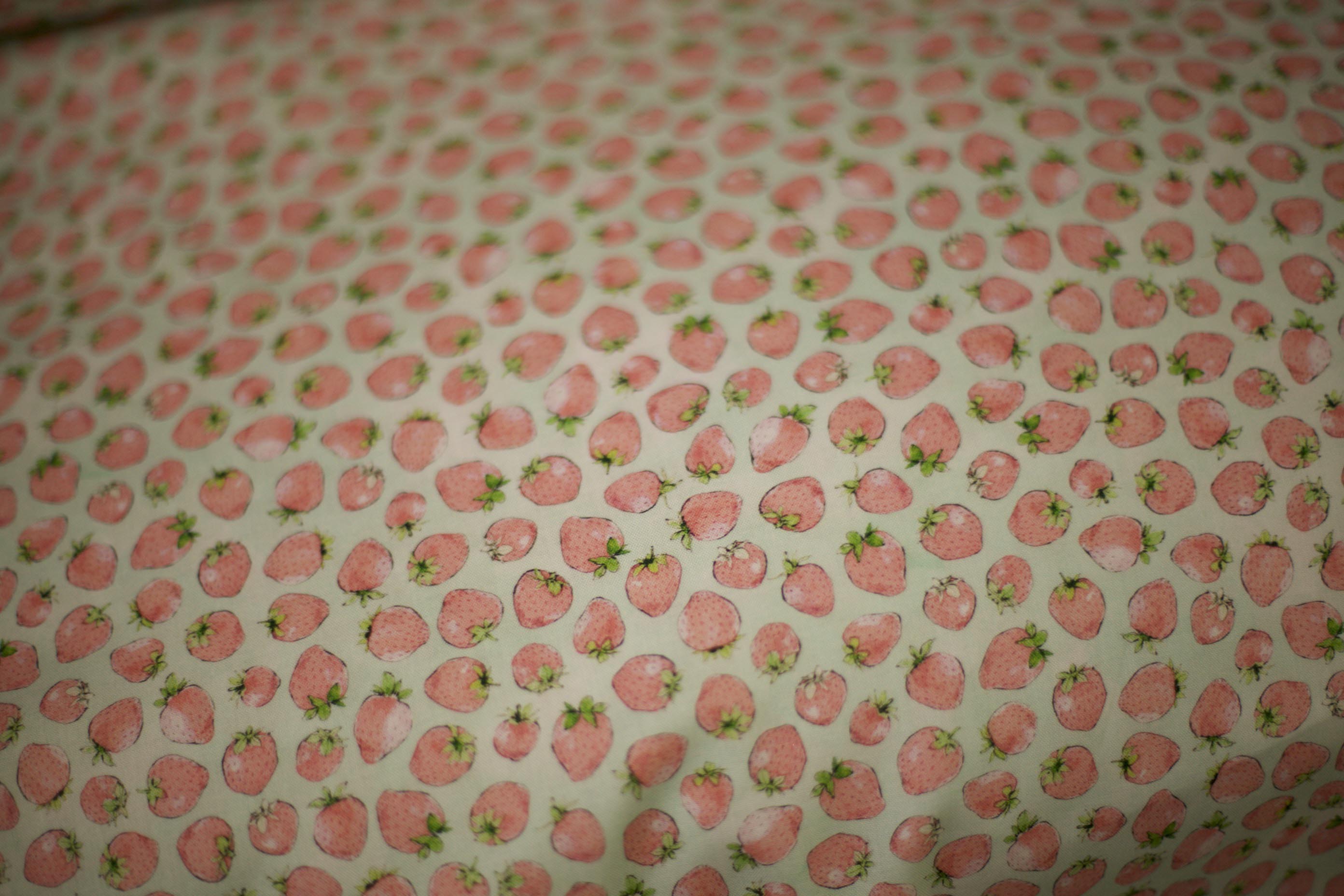 seafoam strawberries fabric