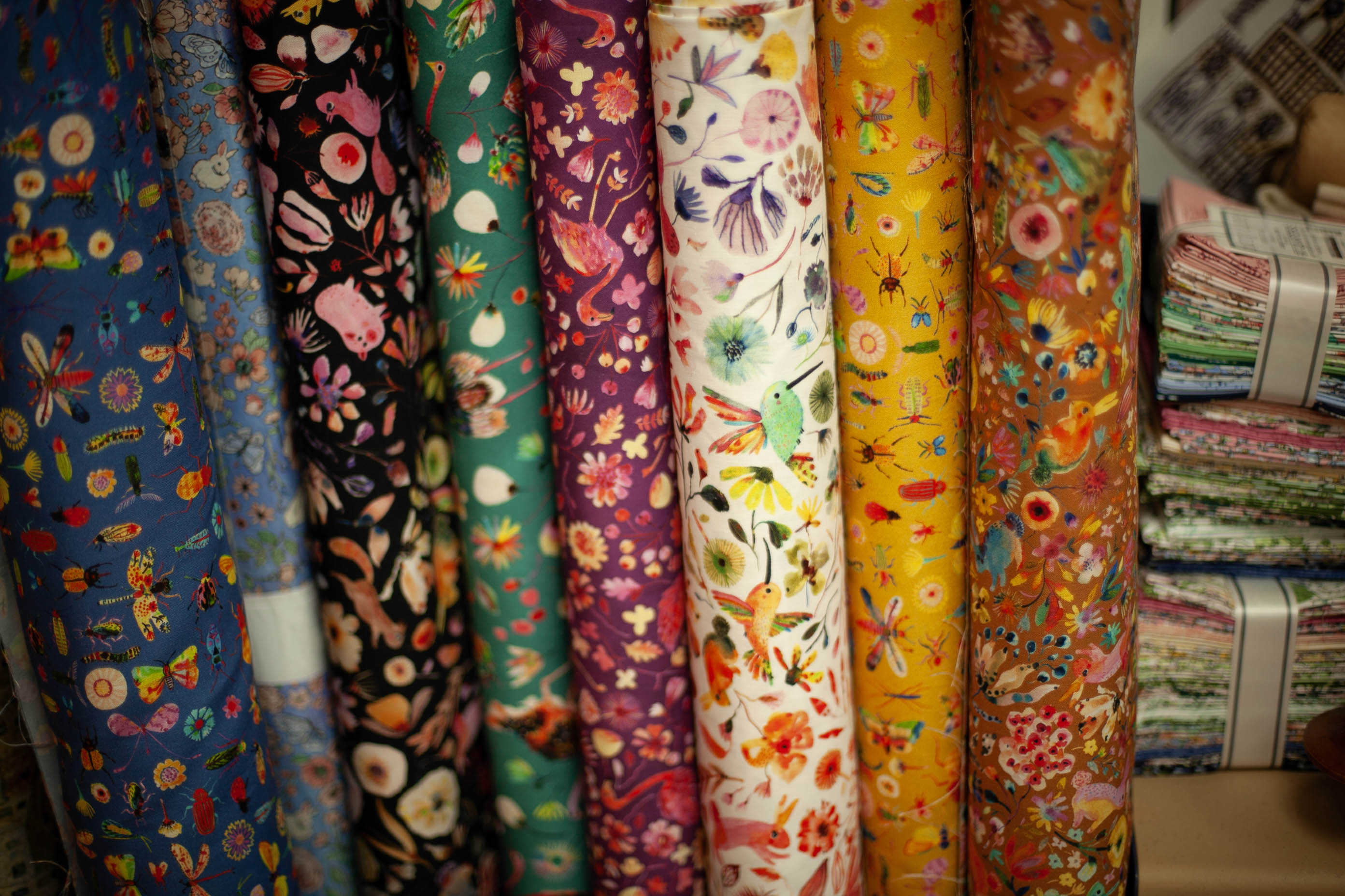 Subhashini Narayanan Fabric for Robert Kaufman