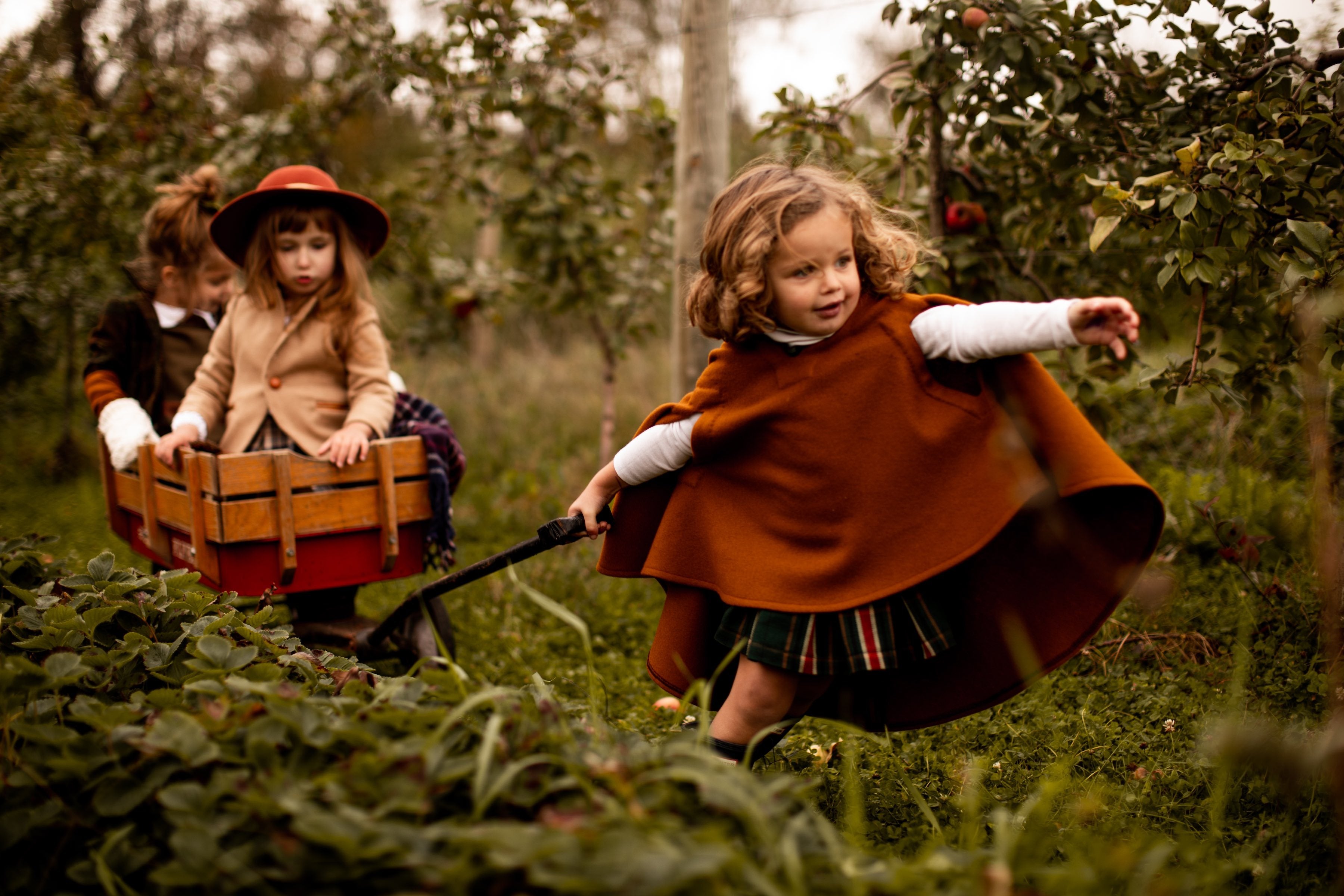 burberry kids coats