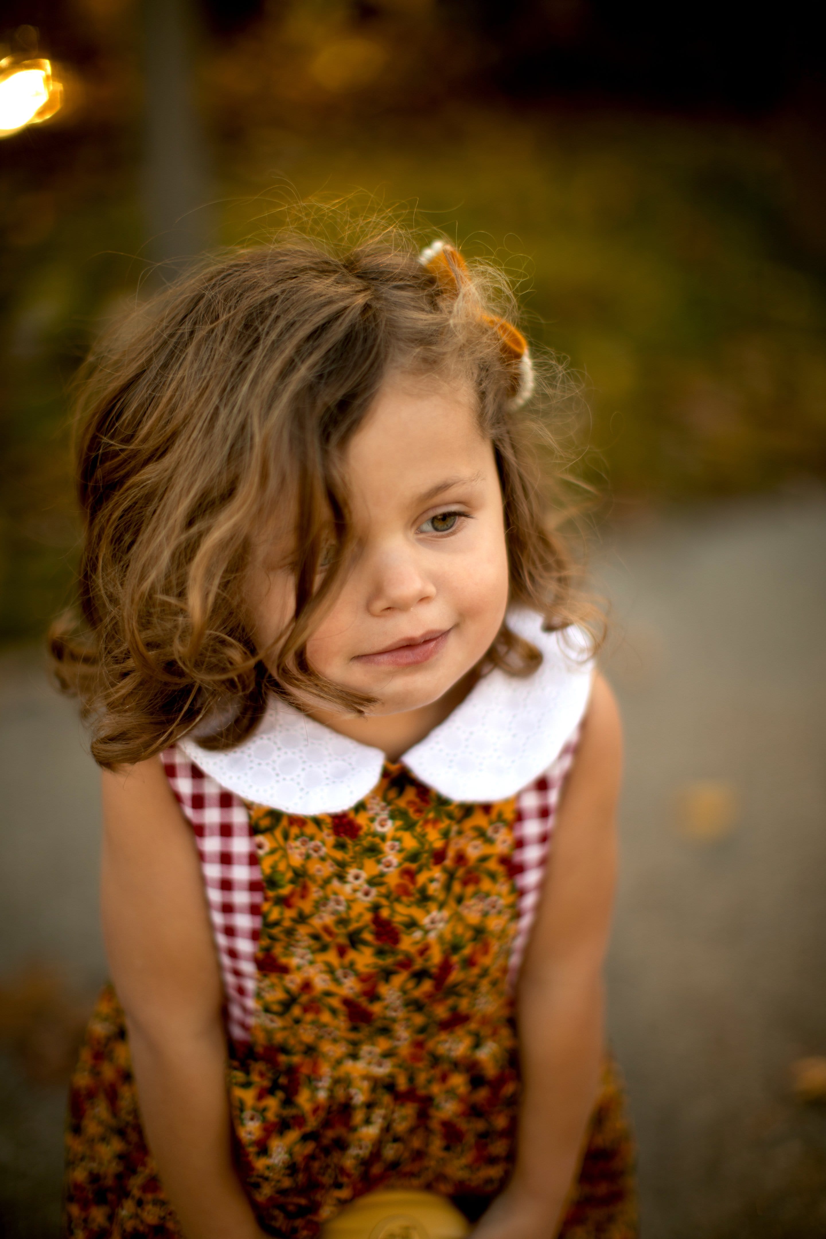 cotton dress with collar