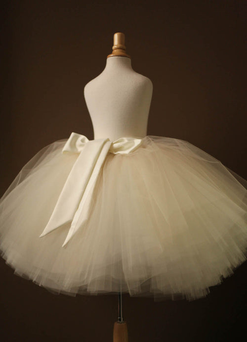 champagne tulle skirt