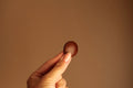 Dark brown leather button