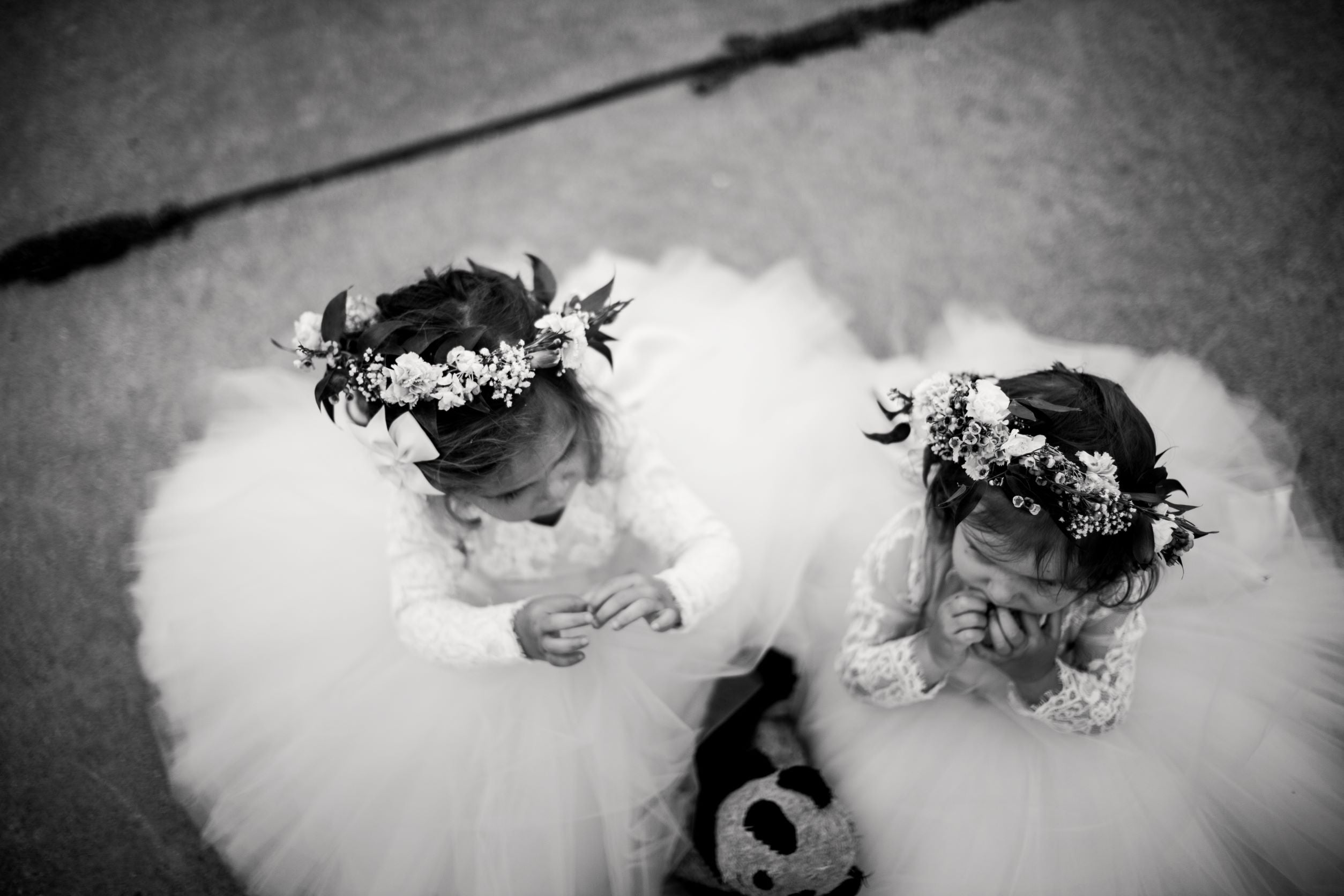 mischka aoki dresses