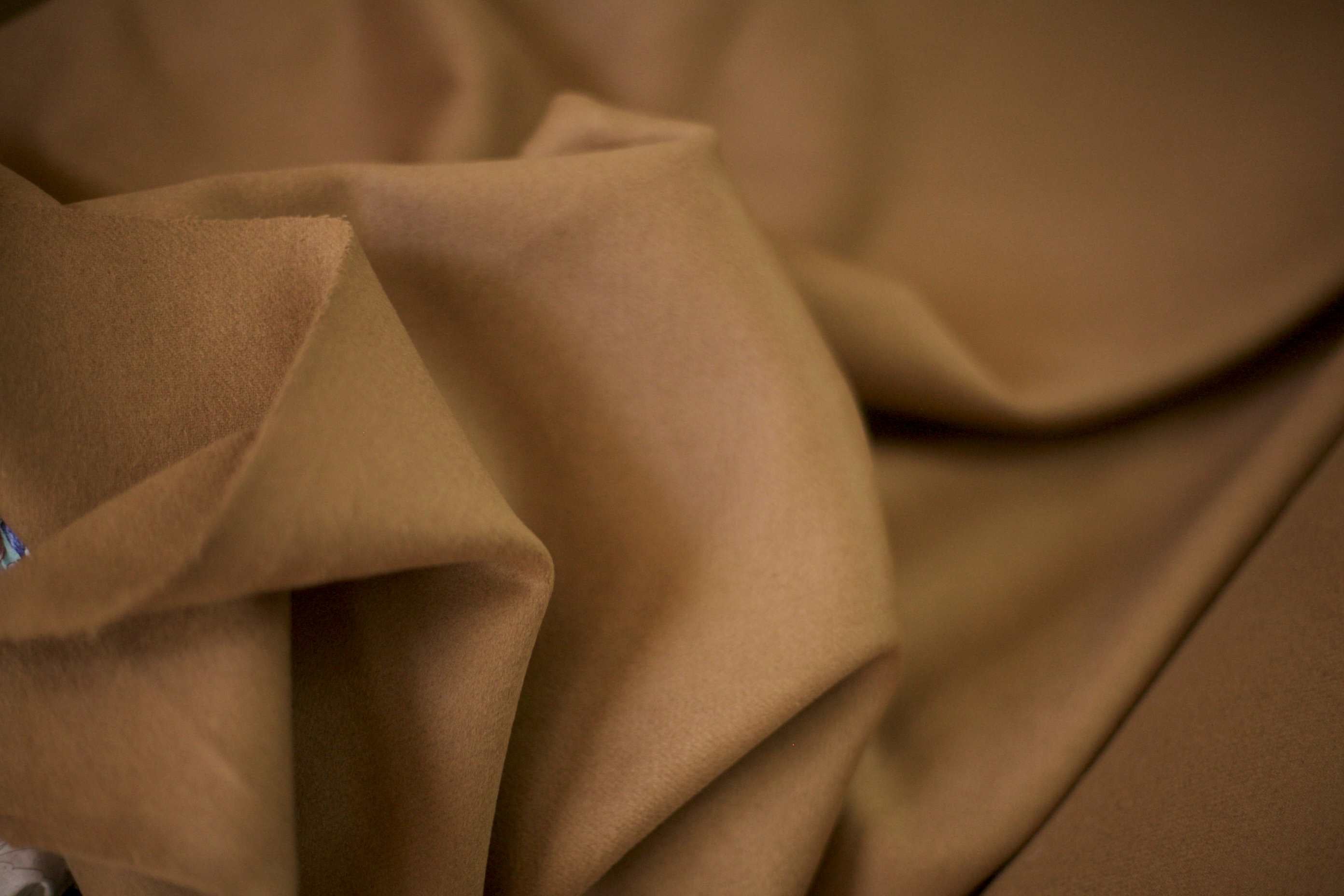camel cashmere fabric