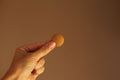 tan leather button