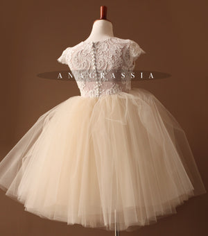 champagne tulle lace dress